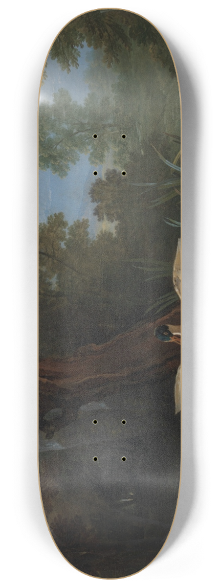 Jean-Baptiste Oudry - Ducks Resting in Sunshine 8.25 inch art skate deck