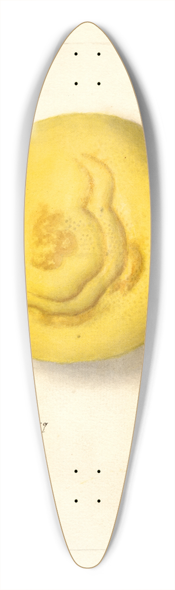 Deborah Griscom Passmore - Citrus paradisi 39.3 inch art pintail longboard deck