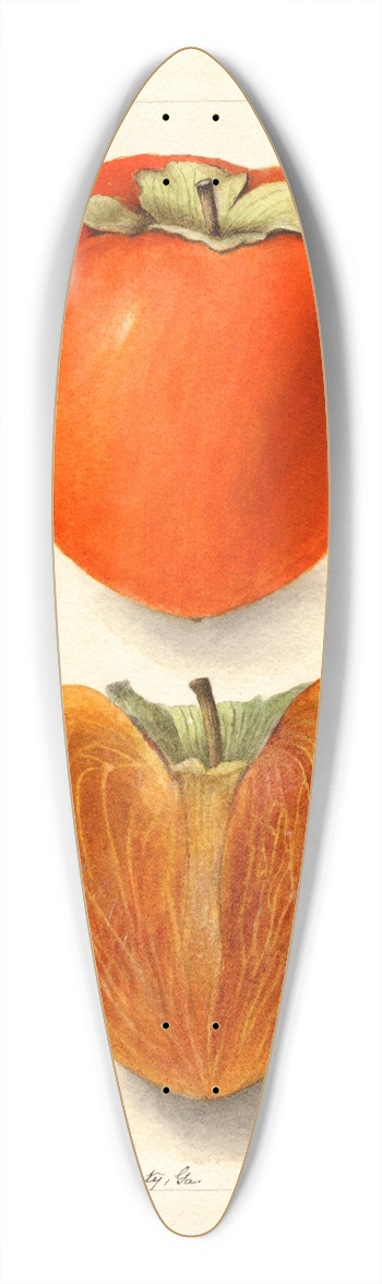 Deborah Griscom Passmore - Diospyros: Axtill 39.3 inch art pintail longboard deck