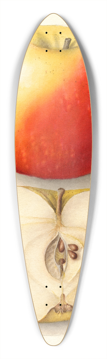 Deborah Griscom Passmore - Malus domestica: Banana 39.3 inch art pintail longboard deck