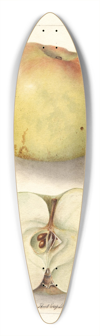 Deborah Griscom Passmore - Malus domestica: Sklanka Bogdanoff 39.3 inch art pintail longboard deck