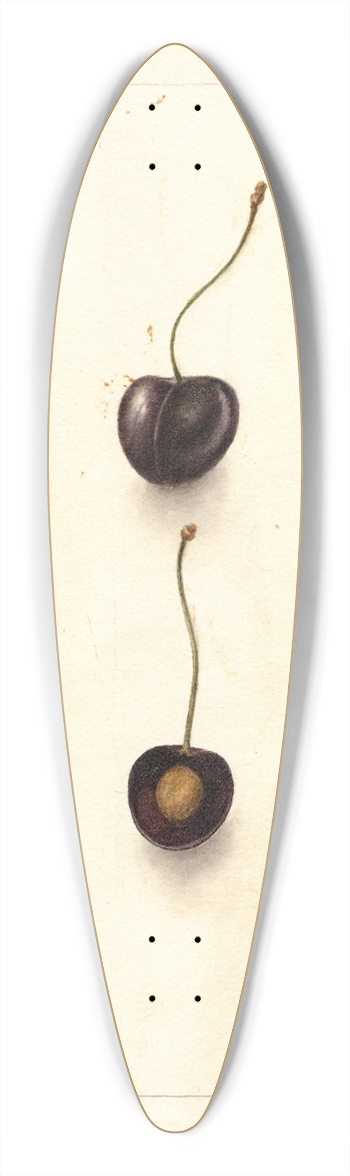 Deborah Griscom Passmore - Prunus avium: Early Purple 39.3 inch art pintail longboard deck