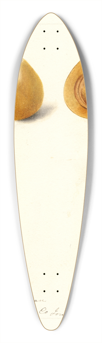 Deborah Griscom Passmore - Prunus domestica: Moldavka 39.3 inch art pintail longboard deck