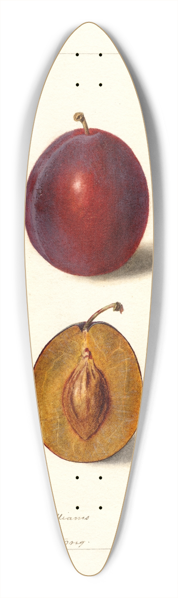 Deborah Griscom Passmore - Prunus domestica: Yamhill 39.3 inch art pintail longboard deck