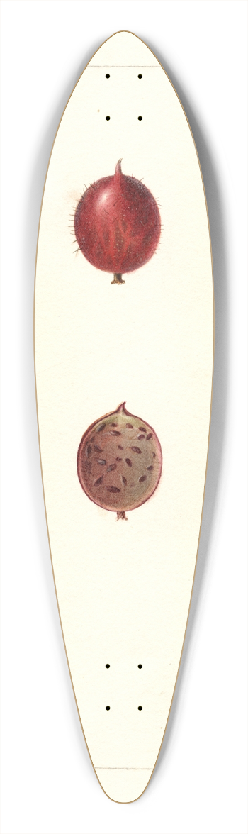 Deborah Griscom Passmore - Ribes: Industry 39.3 inch art pintail longboard deck
