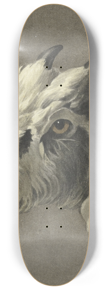 Jean Bernard - Kop van een geit, naar links 8.25 inch art skate deck