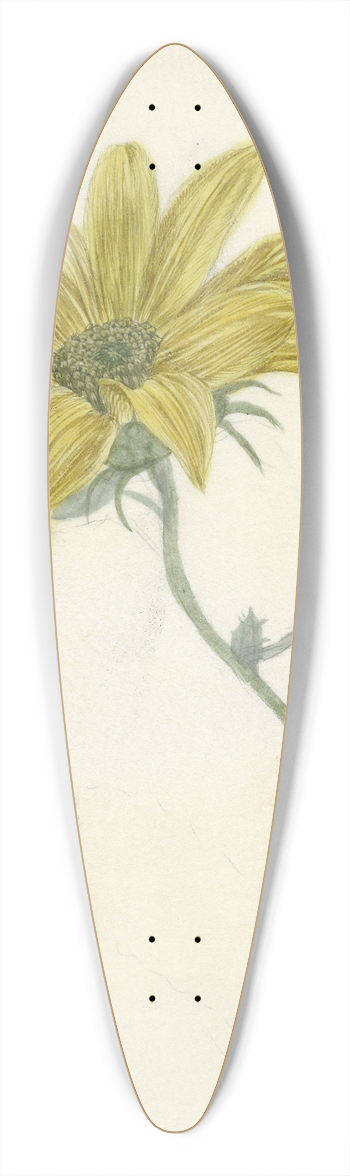 D. van Alphen - Zonnebloem 39.3 inch art pintail longboard deck