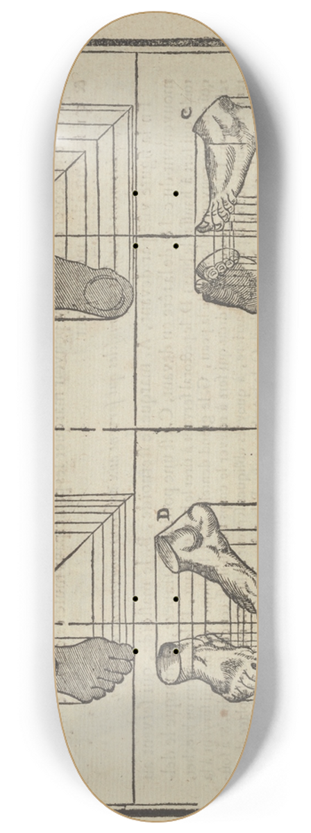 Jean Cousin the Younger - Lart de dessiner de Maistre Jean Cousin Pl.12 8.25 inch art skate deck
