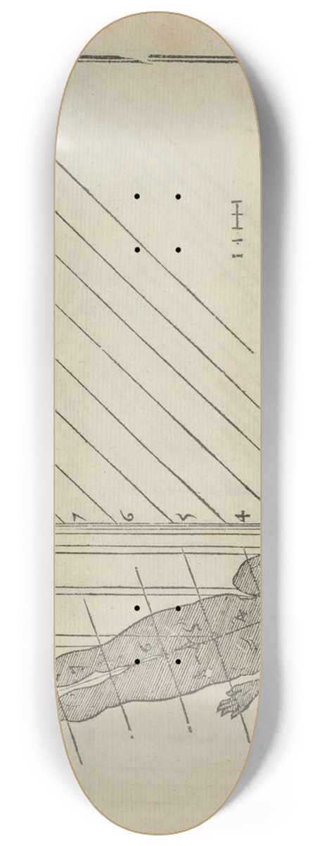 Jean Cousin the Younger - Lart de dessiner de Maistre Jean Cousin Pl.29 8.25 inch art skate deck