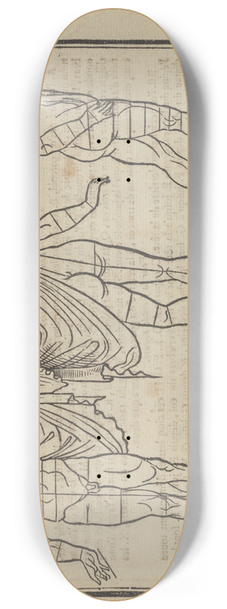 Jean Cousin the Younger - Lart de dessiner de Maistre Jean Cousin Pl.32 8.25 inch art skate deck