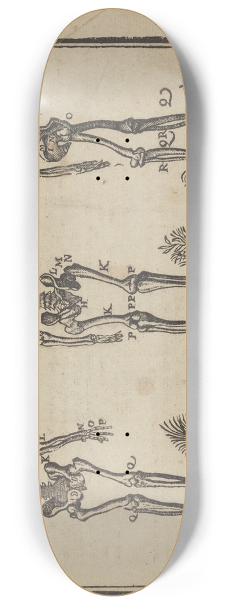 Jean Cousin the Younger - Lart de dessiner de Maistre Jean Cousin Pl.33 8.25 inch art skate deck