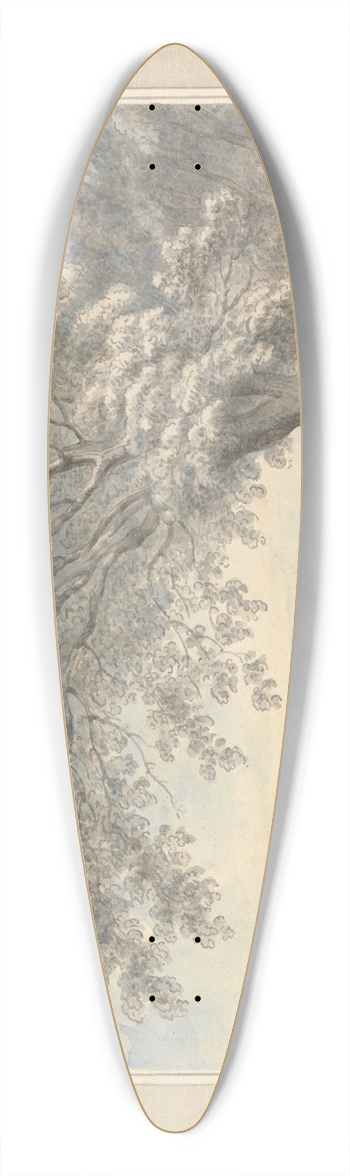 Edward Edwards - Barn Elmes 39.3 inch art pintail longboard deck