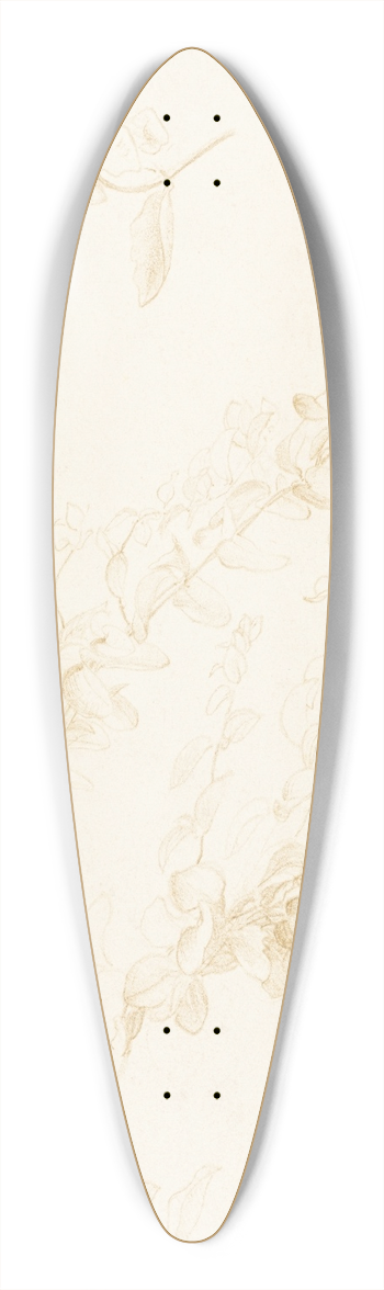Edward John Poynter - Honeysuckle 39.3 inch art pintail longboard deck