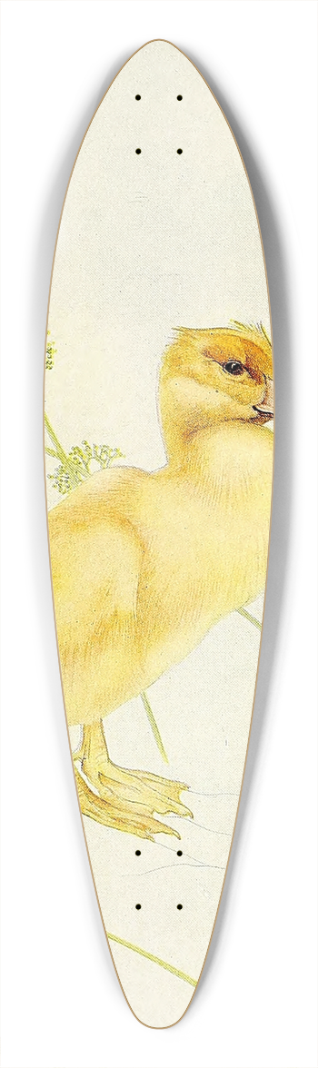 Edward Julius Detmold - The Duckling 39.3 inch art pintail longboard deck