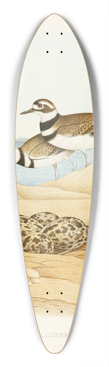Edwin L. Sheppard - Killdeer 39.3 inch art pintail longboard deck