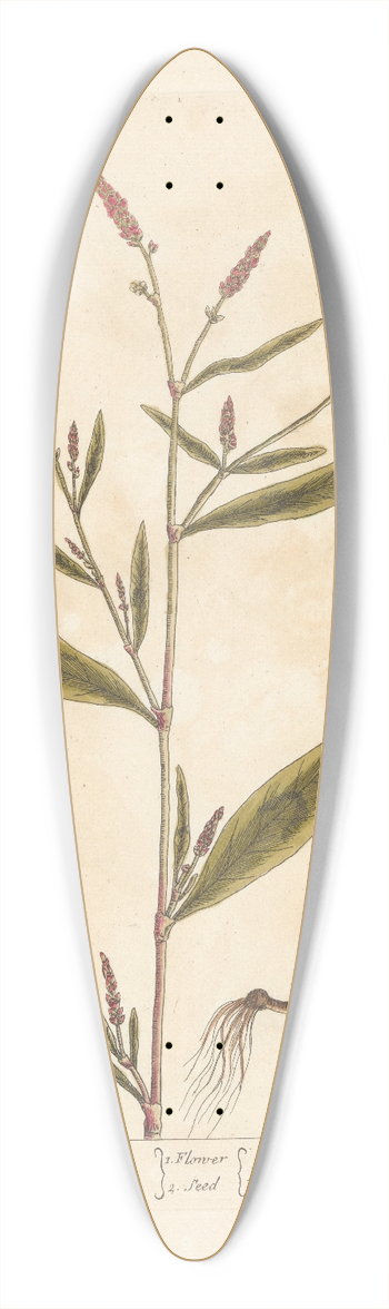 Elizabeth Blackwell - Dead or spotted arsmart 39.3 inch art pintail longboard deck