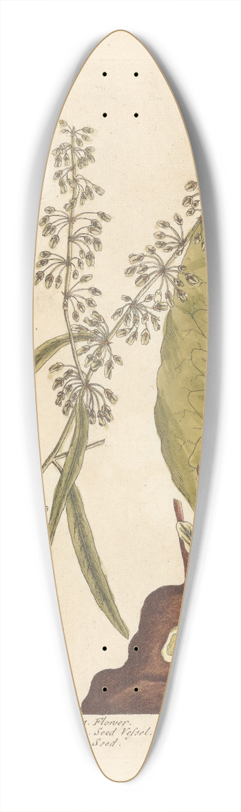 Elizabeth Blackwell - The great water dock 39.3 inch art pintail longboard deck