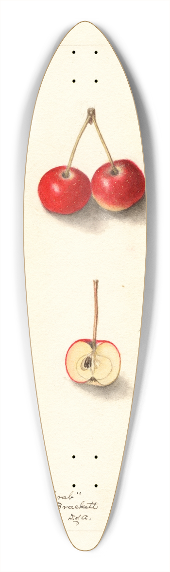Ellen Isham Schutt - Malus: Cherry Crab 39.3 inch art pintail longboard deck
