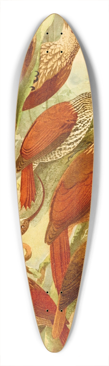 Emil August Gldi - Arapaus 39.3 inch art pintail longboard deck