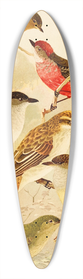 Emil August Gldi - Bemtevs 39.3 inch art pintail longboard deck