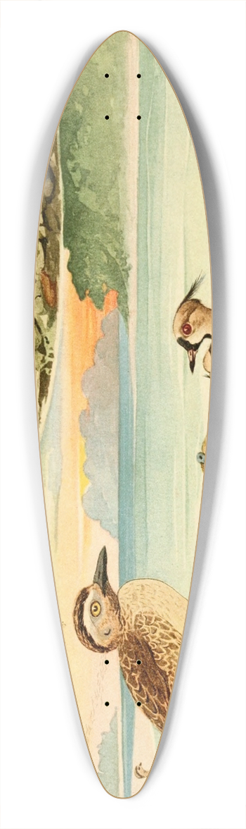 Emil August Gldi - Tu-tu, Pir-pir, Massaricos 39.3 inch art pintail longboard deck