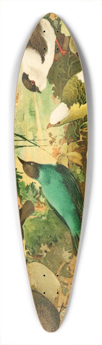 Emil August Gldi - Uir-purs, Rendeiras, Sahys 39.3 inch art pintail longboard deck
