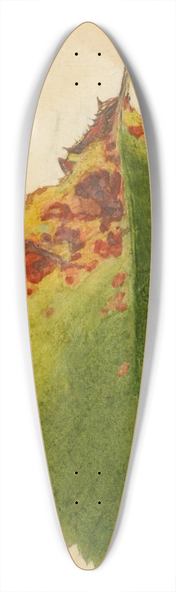 Emma Beach Thayer - Crumpled and Withered Leaf Edge Mimicking Caterpillar 39.3 inch art pintail longboard deck