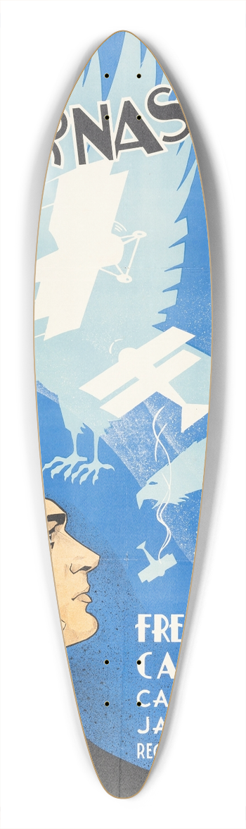 Eric Rohman - The Eagle and the Hawk 39.3 inch art pintail longboard deck