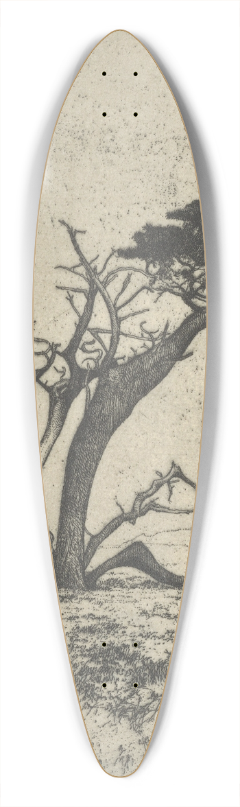 Ernest Haskell - Antlers 39.3 inch art pintail longboard deck