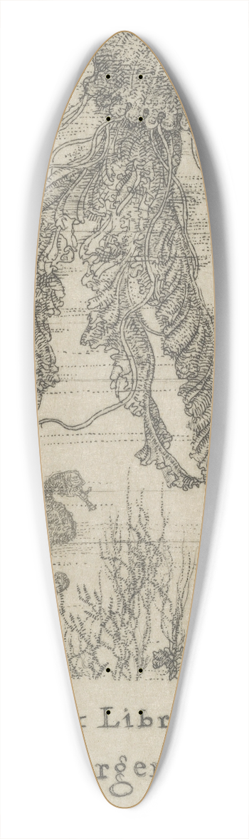 Ernest Haskell - Ex Libris Margaret Sargent Whitney 39.3 inch art pintail longboard deck