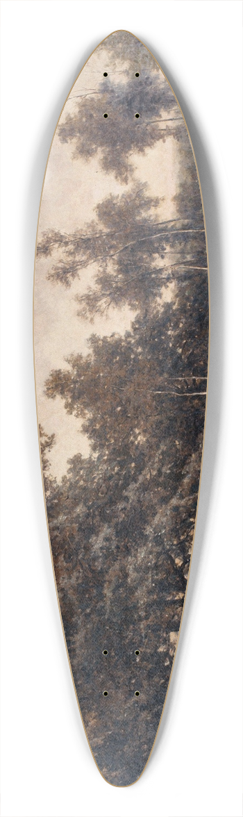 Euphrosine Beernaert - Pool in the Kempen 39.3 inch art pintail longboard deck