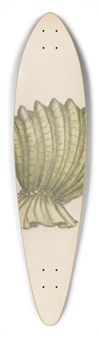 Fanchon Larzelere - Calash 39.3 inch art pintail longboard deck