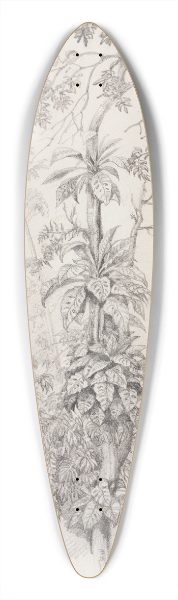 Ferdinand Keller - Baumstudie aus dem Urwald 39.3 inch art pintail longboard deck