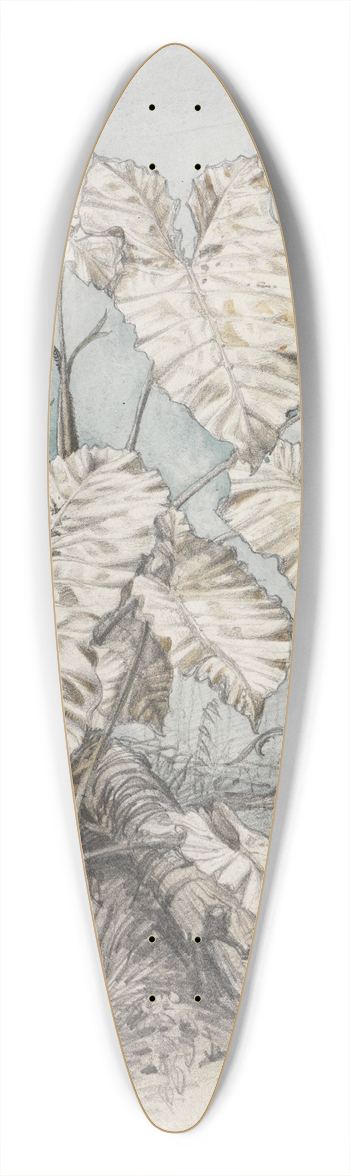 Ferdinand Keller - Blattgewchs im Urwald 39.3 inch art pintail longboard deck