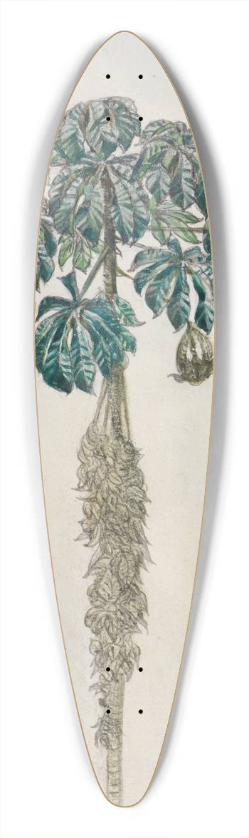 Ferdinand Keller - Faultierbaum 39.3 inch art pintail longboard deck