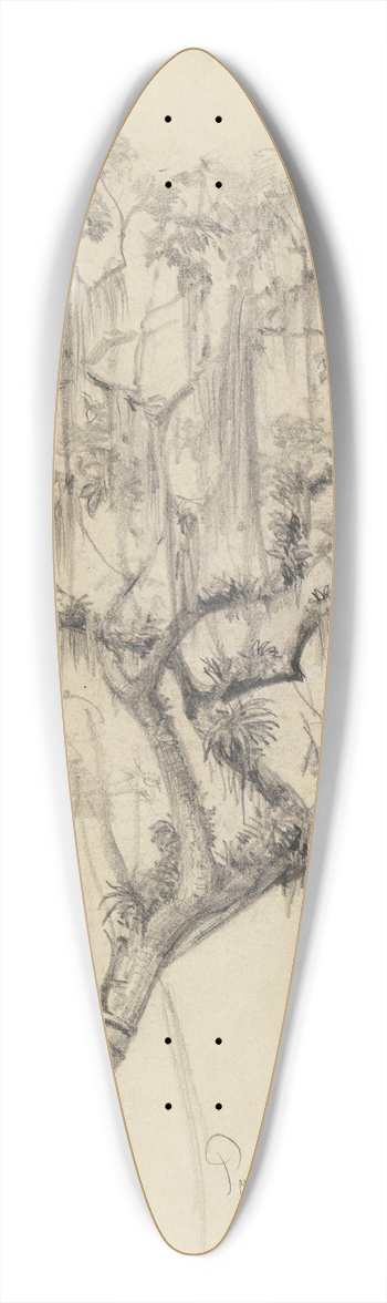 Ferdinand Keller - Studie Baumkrone (mit herabhngenden Pflanzenfden) 39.3 inch art pintail longboard deck