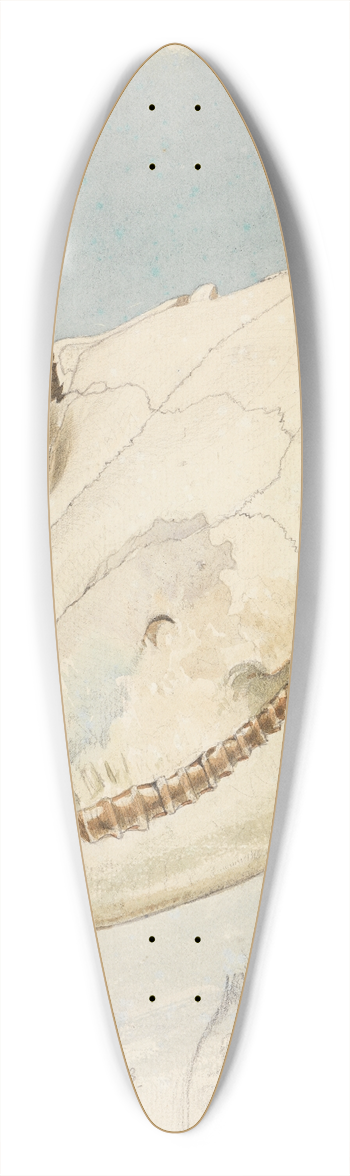 Ferdinand Keller - Studie eines Tierschdels 39.3 inch art pintail longboard deck