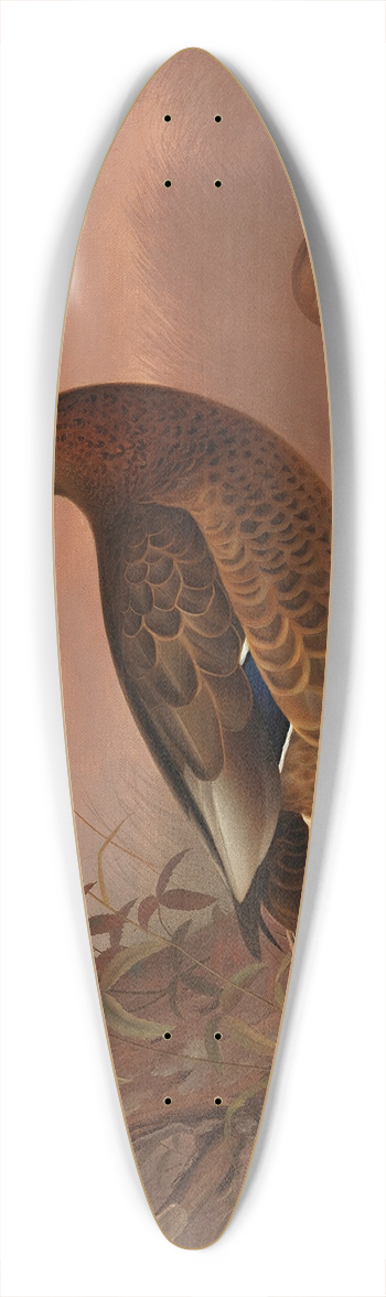 Ferdinand von Wright - Mallard 39.3 inch art pintail longboard deck
