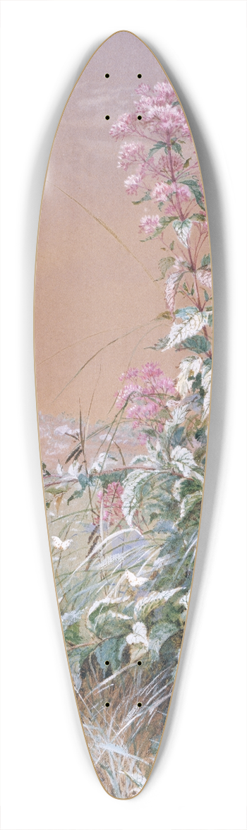 Fidelia Bridges - Untitled 39.3 inch art pintail longboard deck