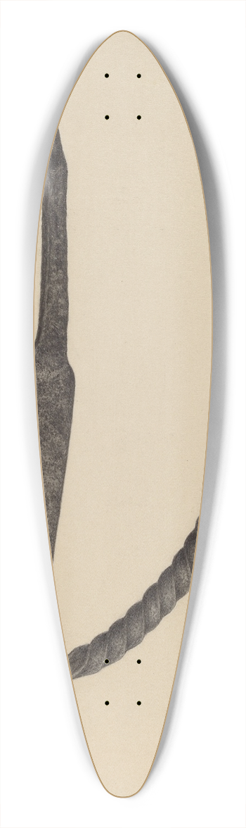 Filippo Porreca - Foot Scraper 39.3 inch art pintail longboard deck