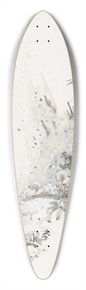 Flix Bracquemond - La neige 39.3 inch art pintail longboard deck