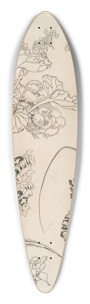 Flix Bracquemond - Langouste, plantes avec oiseaux 39.3 inch art pintail longboard deck
