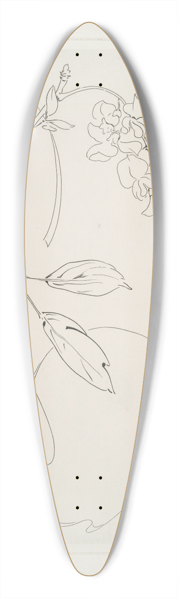 Flix Bracquemond - Plat rond (glycine). 39.3 inch art pintail longboard deck