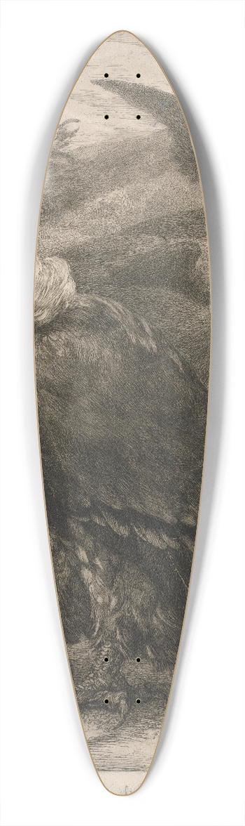Flix Bracquemond - Vulture 39.3 inch art pintail longboard deck