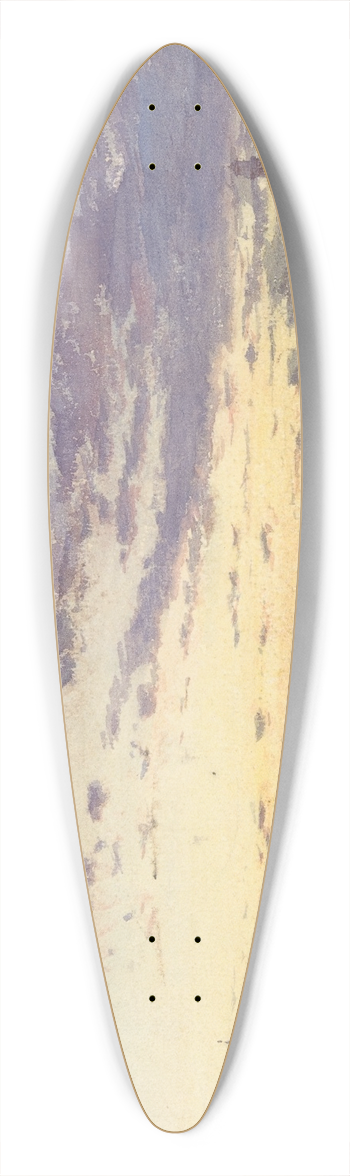 Flix Ziem - Venice 39.3 inch art pintail longboard deck