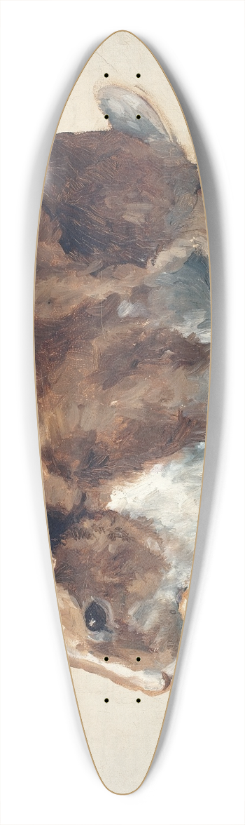Floris Verster - Rabbit 39.3 inch art pintail longboard deck