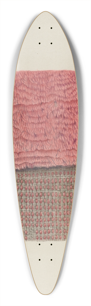 Frances Cohen - Piece of Shag 39.3 inch art pintail longboard deck