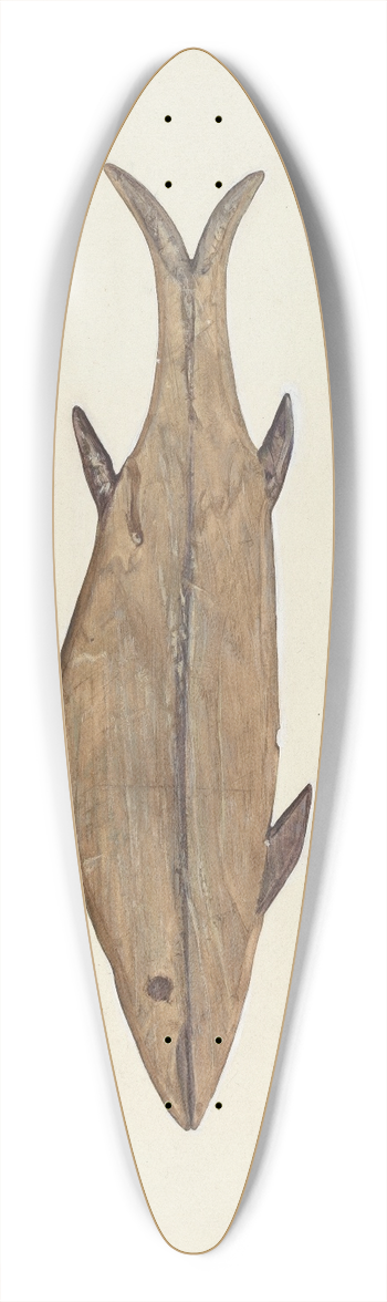 Frances Matsubara - Fish Weather Vane 39.3 inch art pintail longboard deck