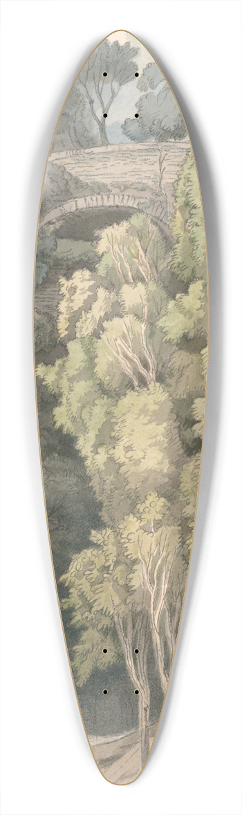 Francis Towne - Devils Bridge 39.3 inch art pintail longboard deck
