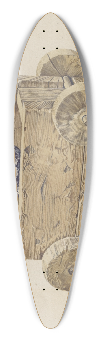 Frank Eiseman - Miners Cart 39.3 inch art pintail longboard deck